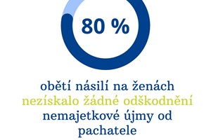 Přes vysoký výskyt násilí na ženách se v Česku oběti odškodnění často nedočkají.