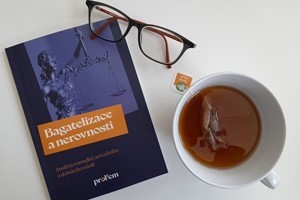 Analýza: sekundární viktimizace, rozpory a stereotypy v rozsudcích