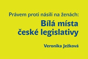 Bílá místa české legislativy