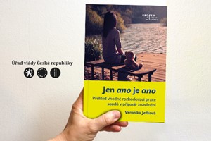 Jen ano je ano - přehled vhodné rozhodovací praxe